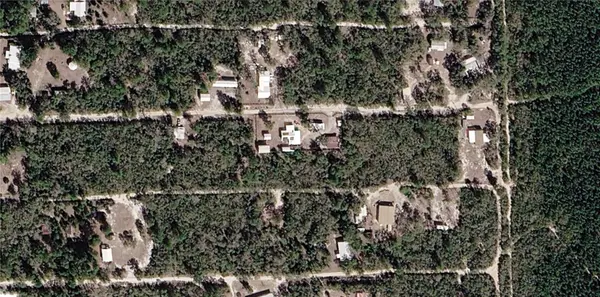 XXX NE 234TH LN, Fort Mc Coy, FL 32134