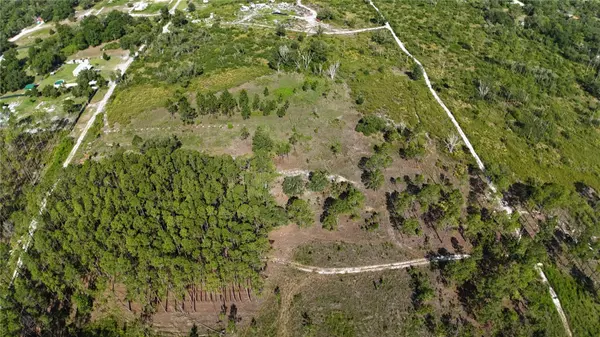 XX SW 156TH PL, Dunnellon, FL 34432