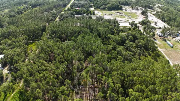 XX SW 156TH PL, Dunnellon, FL 34432