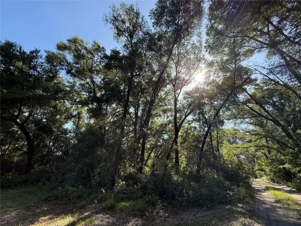 XX SE 147TH CT, Summerfield, FL 34491