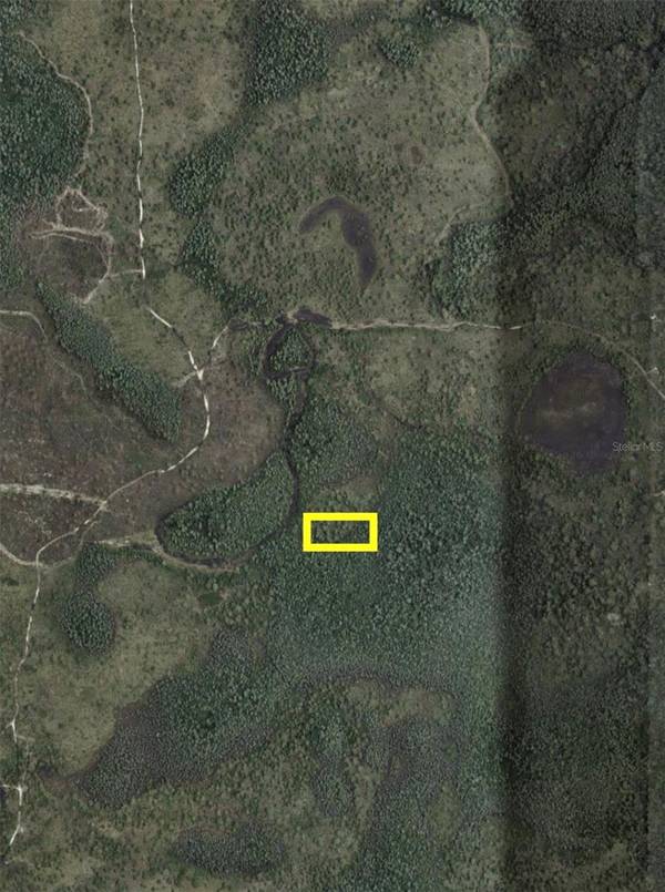 DILL RD, Orlando, FL 32820