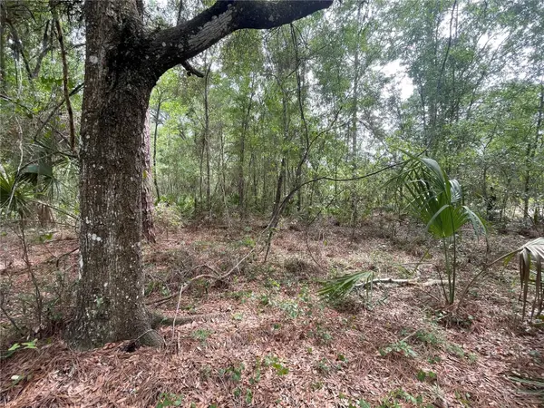 16486 CURLEW RD, Brooksville, FL 34614