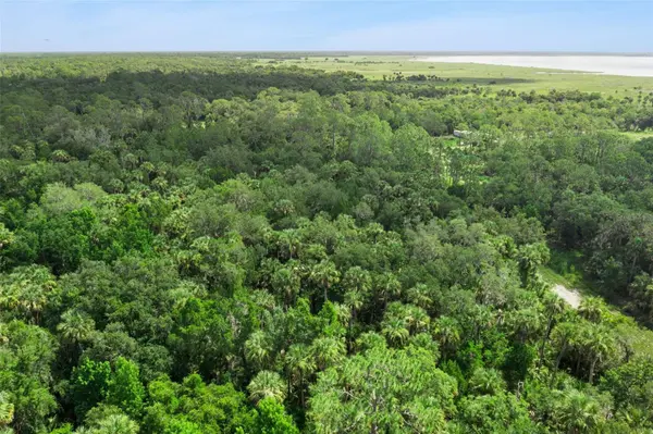 2401 CANVASBACK TRL, Geneva, FL 32732