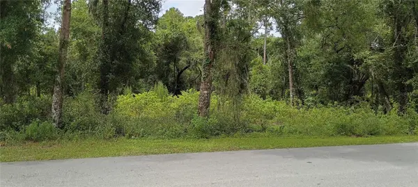 1876 BLACKWELDER RD, De Leon Springs, FL 32130