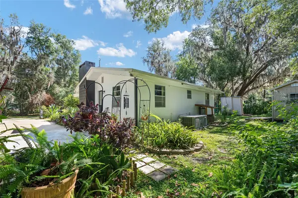 25140 NE 133RD PL, Salt Springs, FL 32134