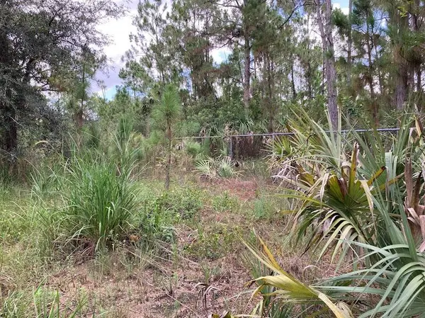 4421 24TH AVE SE, Naples, FL 34117