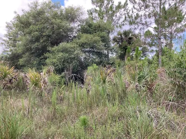 4421 24TH AVE SE, Naples, FL 34117