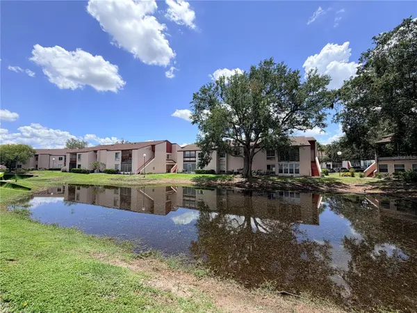 2562 LAKEWAY BRANCH DRIVE #3002, Orlando, FL 32839