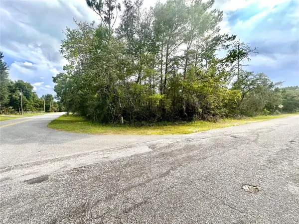 SAFFRON AVE, Eustis, FL 32736