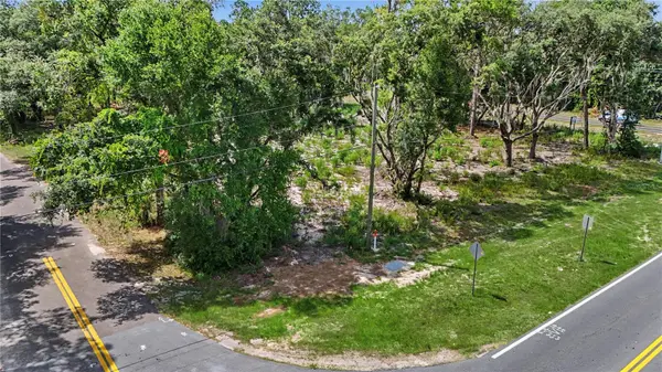 3 BAY DR, Ocklawaha, FL 32179