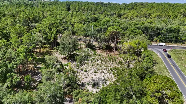 3 BAY DR, Ocklawaha, FL 32179