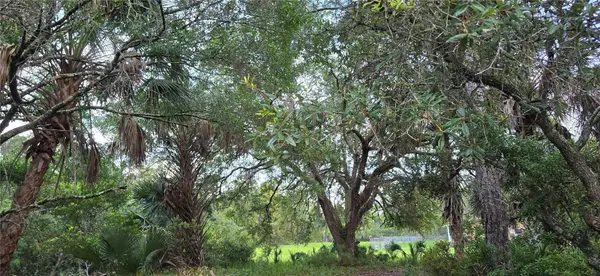 6150 SW 126TH AVE, Cedar Key, FL 32625