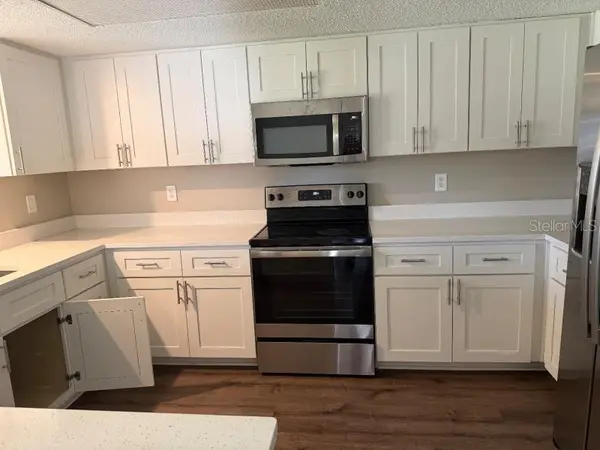 3260 MARY LN, Mount Dora, FL 32757
