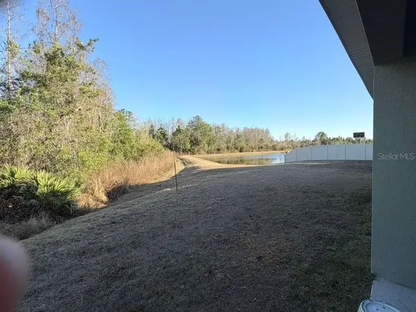 1415 FOX SQUIRREL DR, Davenport, FL 33897