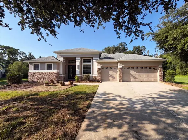 3100 CONRAD CT, Kissimmee, FL 34744