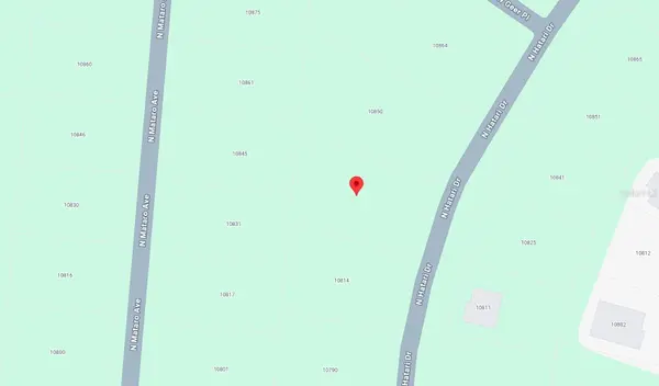 10830 N HATARI DR, Citrus Springs, FL 34434