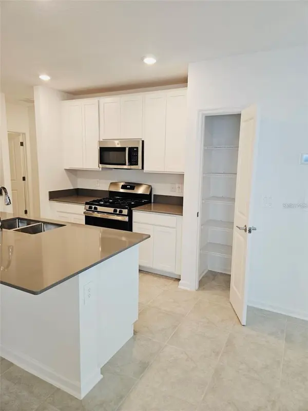 26220 FEATHERGRASS CIR, Leesburg, FL 34748
