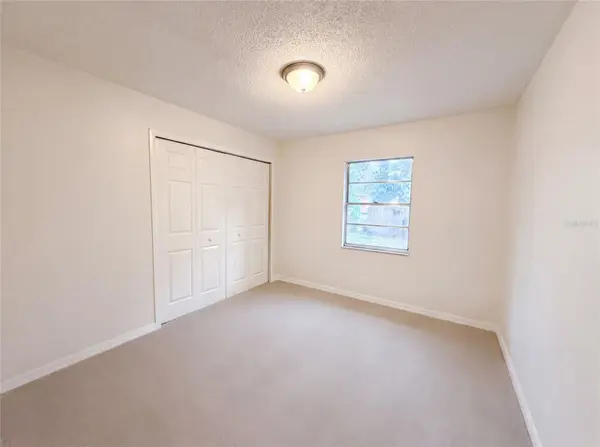4209 E ALENE DR, Tampa, FL 33617