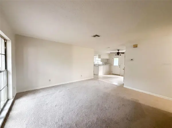 4209 E ALENE DR, Tampa, FL 33617