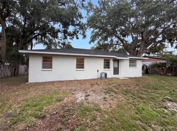 4209 E ALENE DR, Tampa, FL 33617