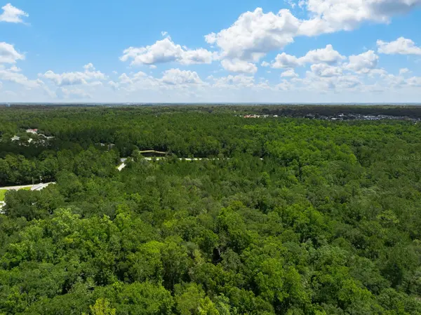 3779 COUNTY ROAD 218, Middleburg, FL 32068