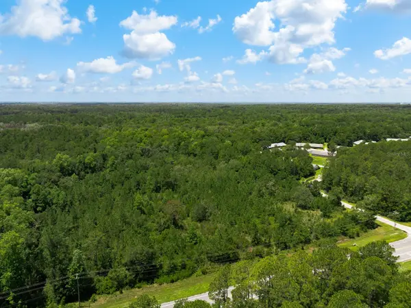 3779 COUNTY ROAD 218, Middleburg, FL 32068