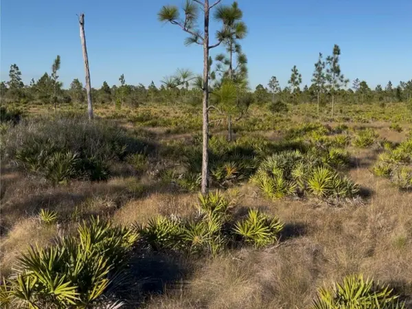 HOLOPAW GROVES RD, St Cloud, FL 34771