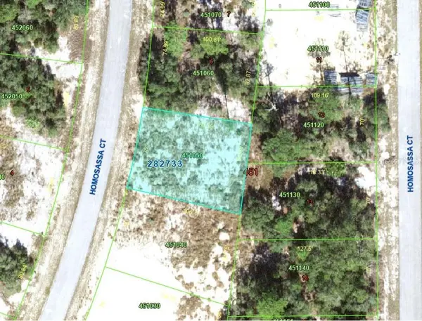 1340 HOMOSASSA CT, Kissimmee, FL 34759