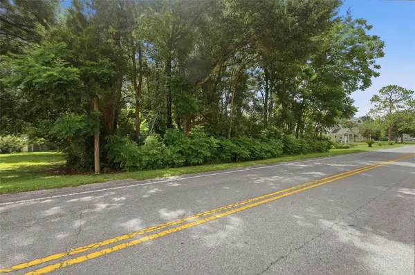 S LAKEVIEW DR, Lake Helen, FL 32744