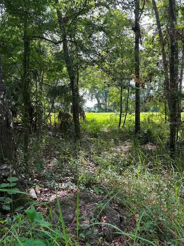 12168 PONCE DE LEON BLVD, Brooksville, FL 34601