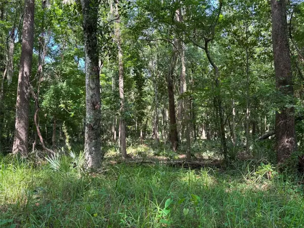 12168 PONCE DE LEON BLVD, Brooksville, FL 34601