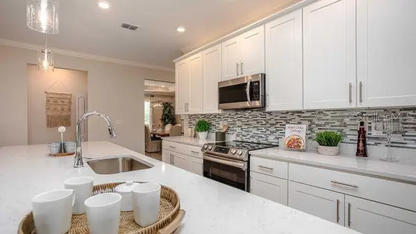 TBD LISA DR, Tavares, FL 32778