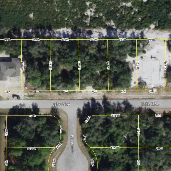 1217 BALTIC DR, Poinciana, FL 34759