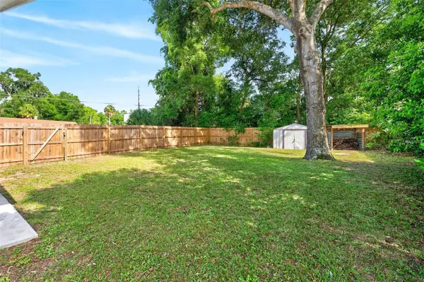 1125 N TREMAIN ST, Mount Dora, FL 32757