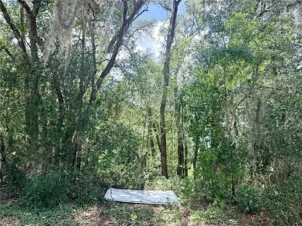 7932 N ELKCAM BLVD, Citrus Springs, FL 34433