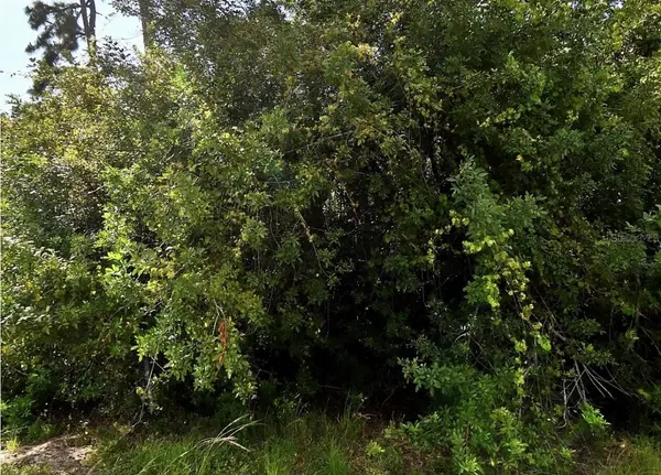 MAP AVE, North Port, FL 34286