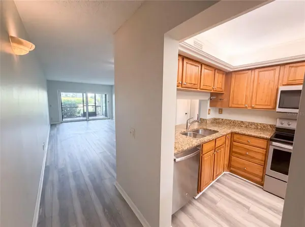 6219 PALMA DEL MAR BLVD S #114, St Petersburg, FL 33715