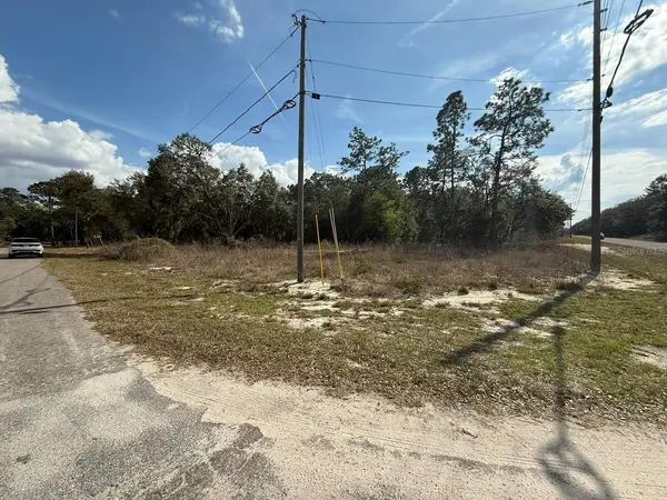 11745 ORANGE RD, Ocklawaha, FL 32179
