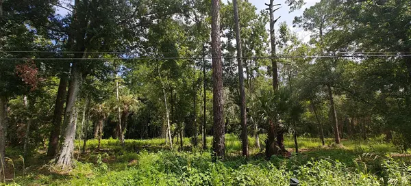 8401 AMELIA TRL, Kissimmee, FL 34747