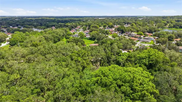 11211 CLAY PIT RD, Seffner, FL 33584
