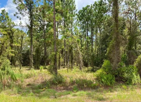 TBD SW NEPTUNE BLVD, Dunnellon, FL 34431