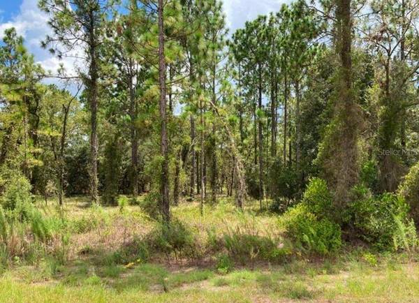 TBD SW NEPTUNE BLVD, Dunnellon, FL 34431