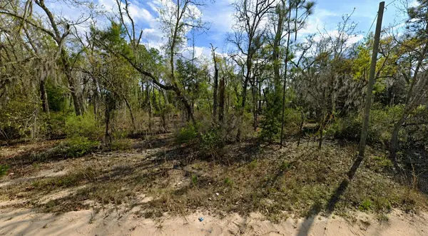 CLAUDIA ST, Interlachen, FL 32148
