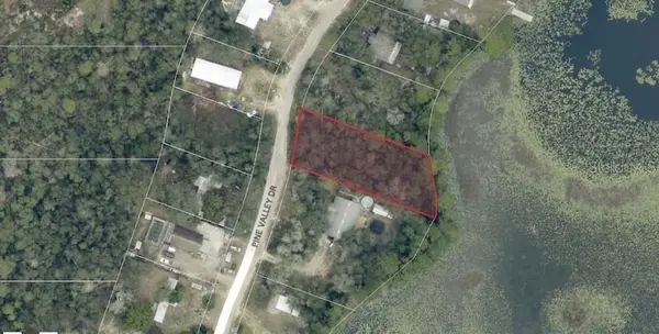 PINE VALLEY DR, Paisley, FL 32767