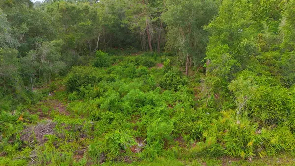 COUNTY ROAD 42, Paisley, FL 32767