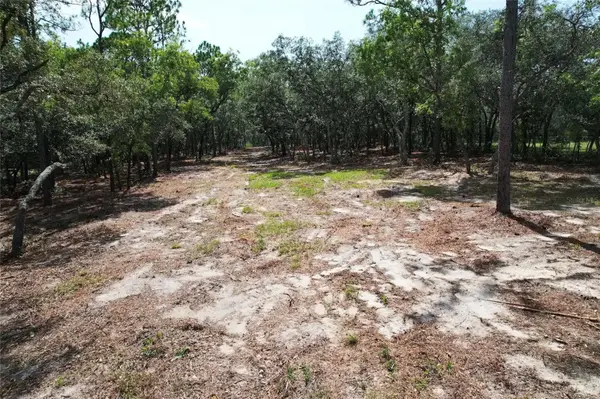 4546 S EVERGREEN AVE, Homosassa, FL 34446