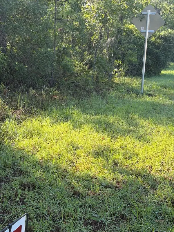 ALASKA AVE, Interlachen, FL 32148