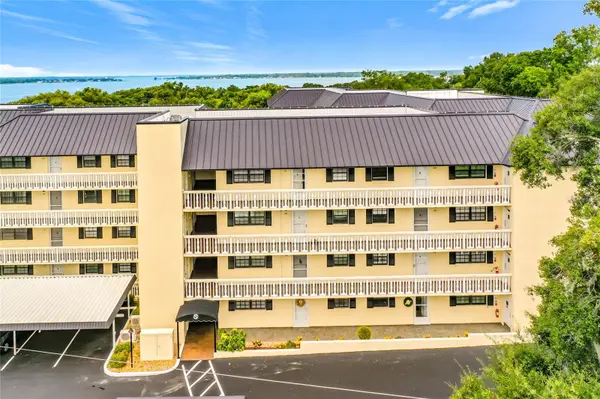 101 N GRANDVIEW ST #205, Mount Dora, FL 32757