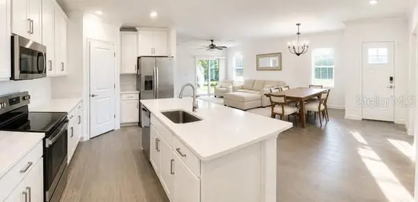 16890 FORGE SURF ST, Land O Lakes, FL 34638