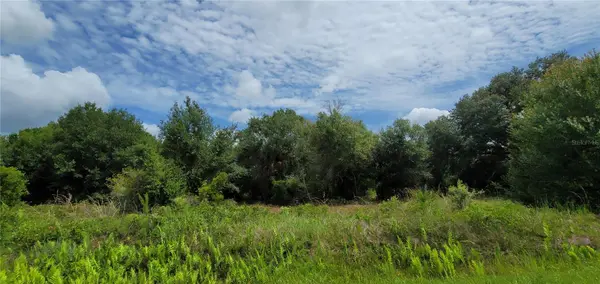 NW 268TH STREET LOT N, Okeechobee, FL 34972
